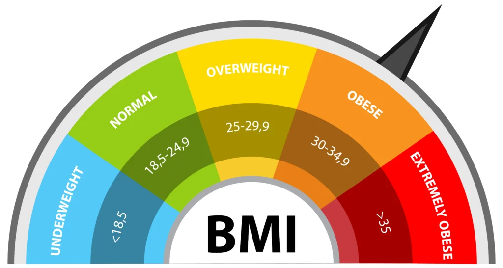 BMI Calculator image